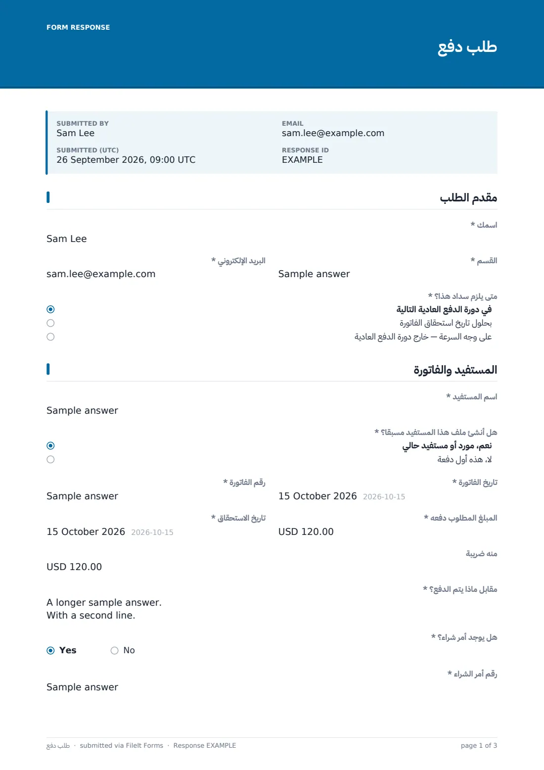 طلب دفع — ملف PDF لرد نموذجي، الصفحة 1 من 3