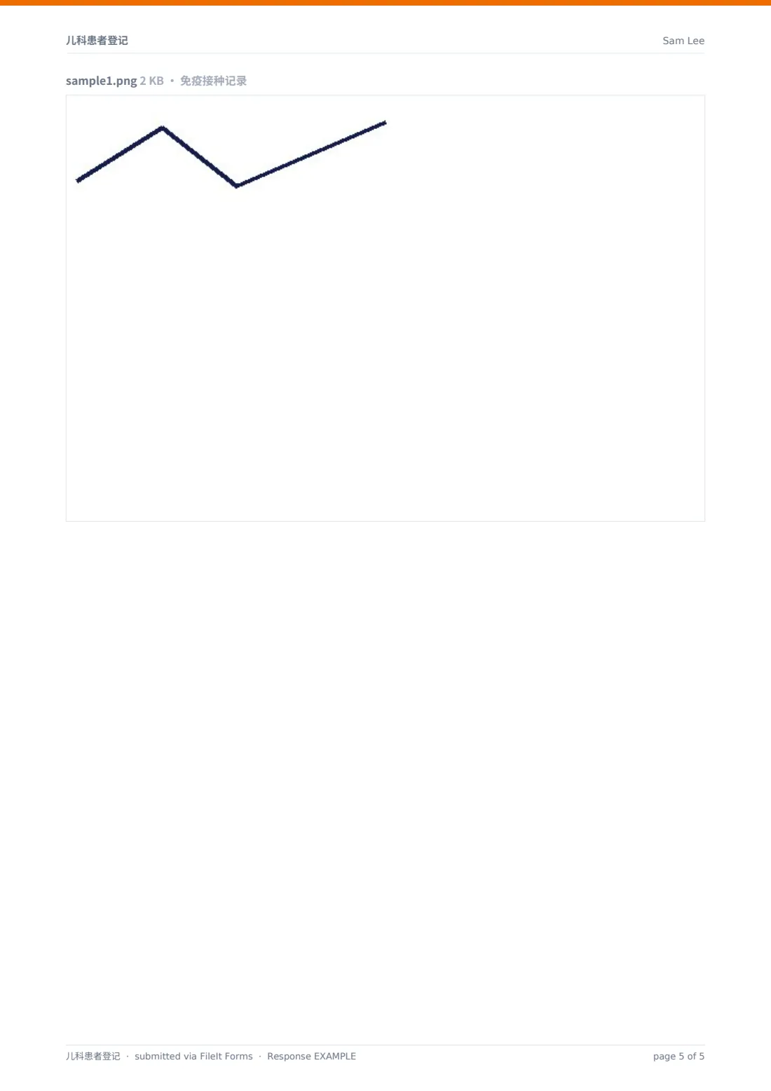 儿科患者登记 — 示例回复 PDF，第 5 页，共 5 页