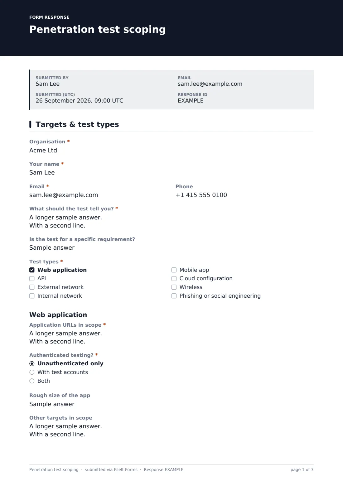 Penetration test scoping — example response PDF, page 1 of 3