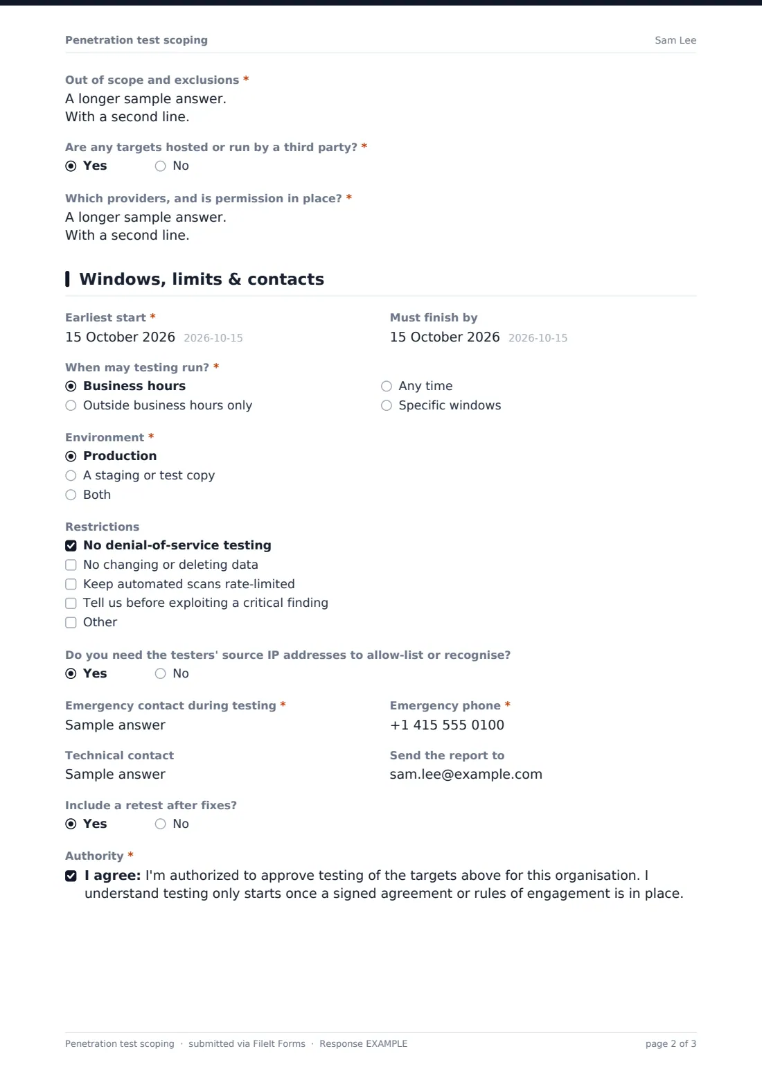 Penetration test scoping — example response PDF, page 2 of 3