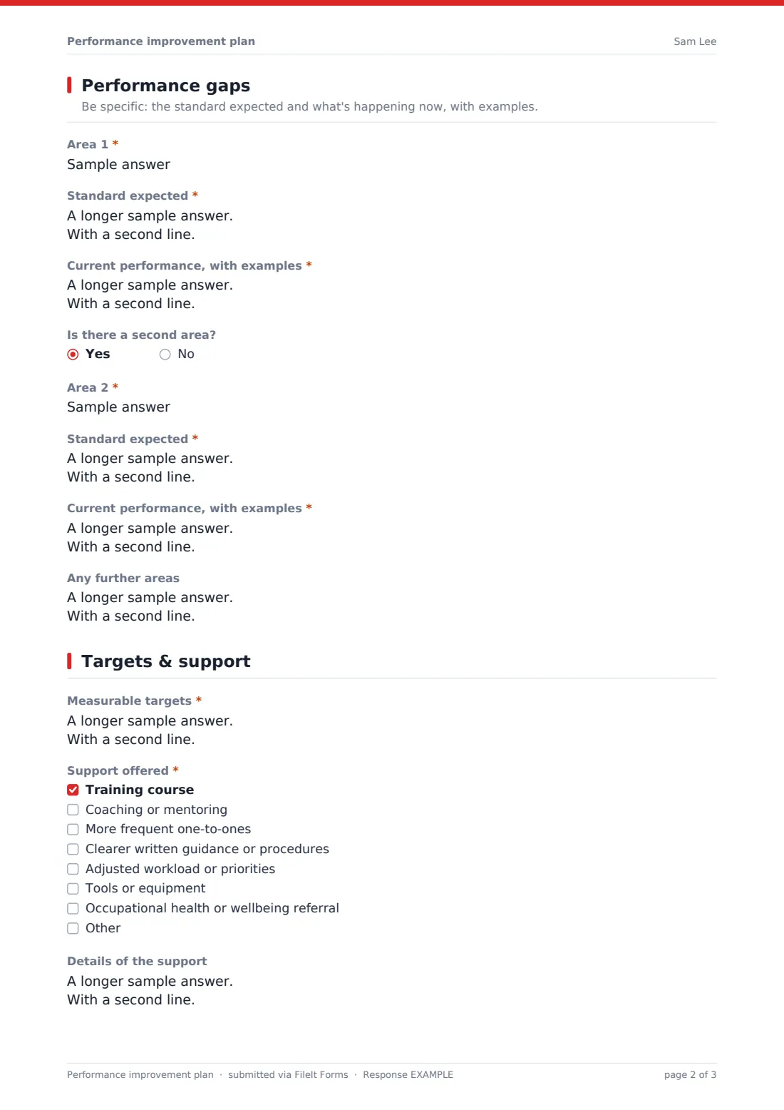 Performance improvement plan — example response PDF, page 2 of 3