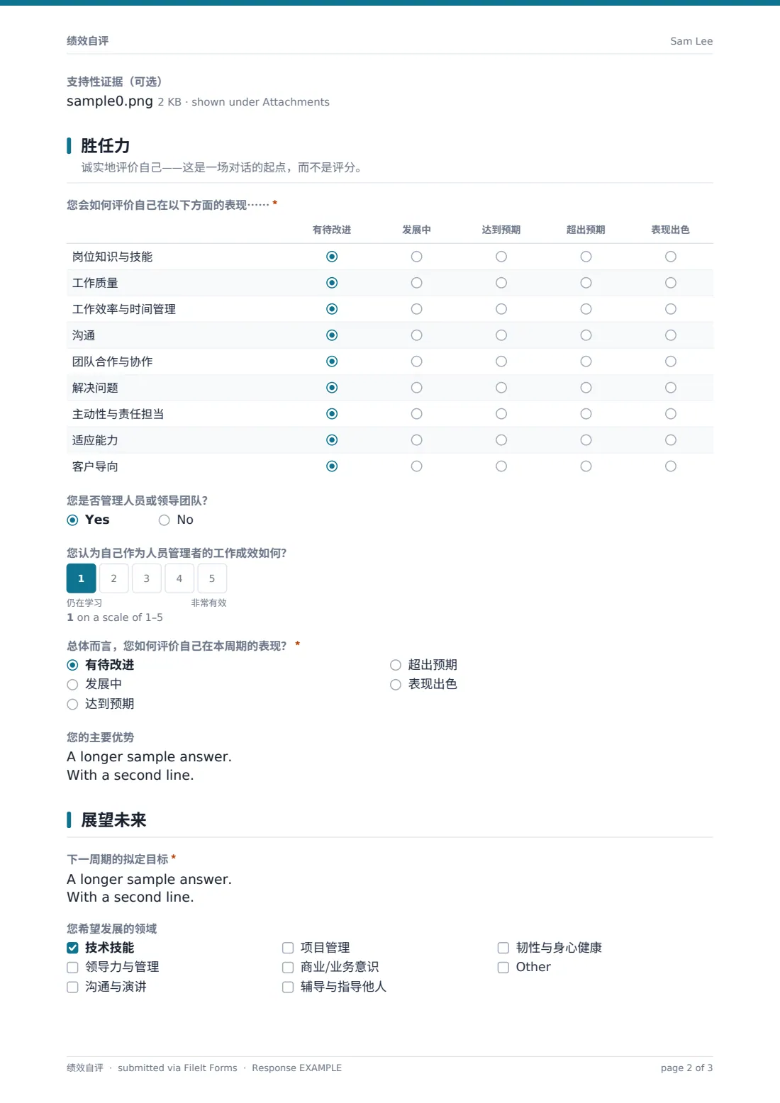 绩效自评 — 示例回复 PDF，第 2 页，共 3 页