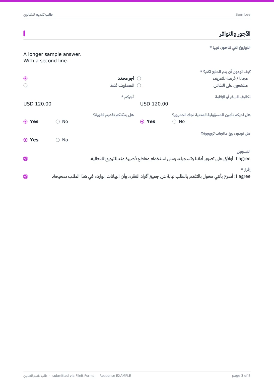 طلب تقديم للفنانين — ملف PDF لرد نموذجي، الصفحة 3 من 5