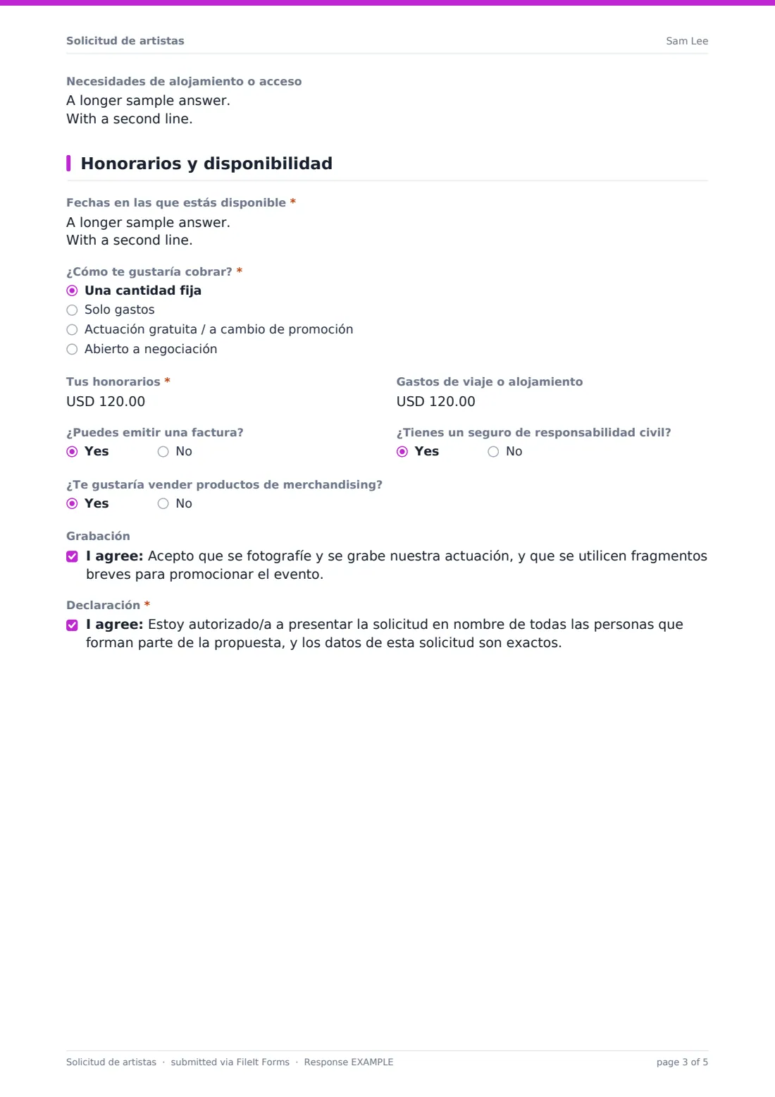 Solicitud de artistas — PDF de respuesta de ejemplo, página 3 de 5