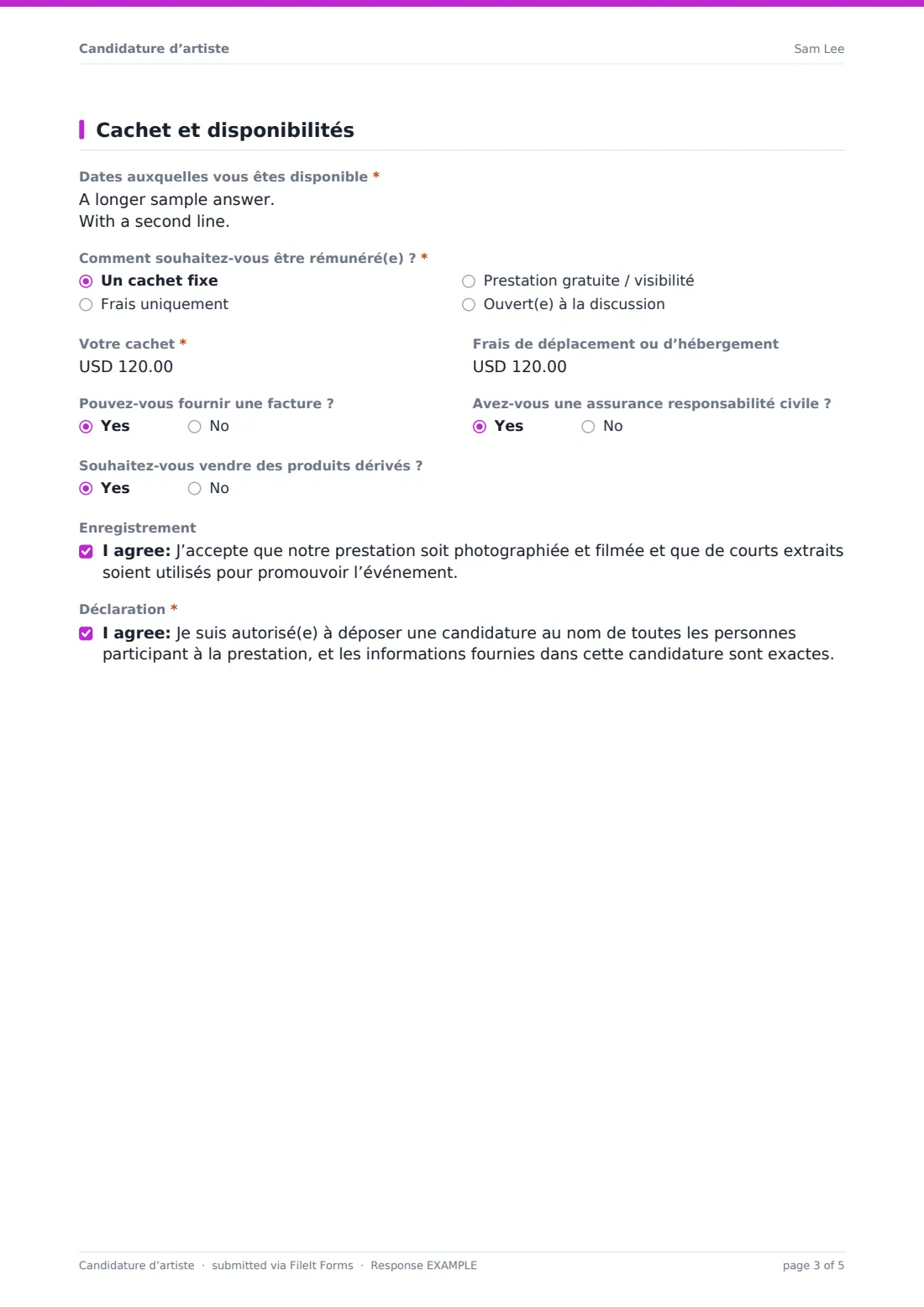 Candidature d’artiste — exemple de réponse au format PDF, page 3 sur 5
