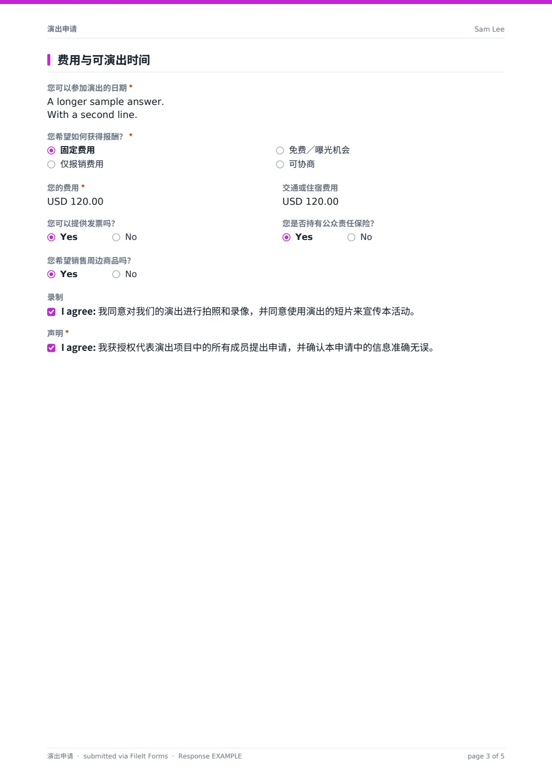 演出申请 — 示例回复 PDF，第 3 页，共 5 页