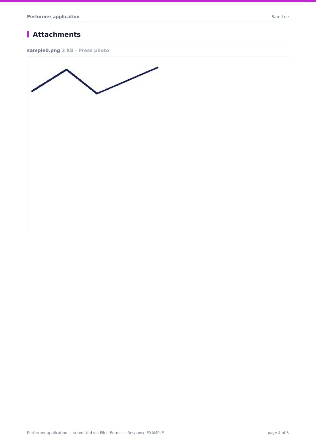 Performer application — example response PDF, page 4 of 5