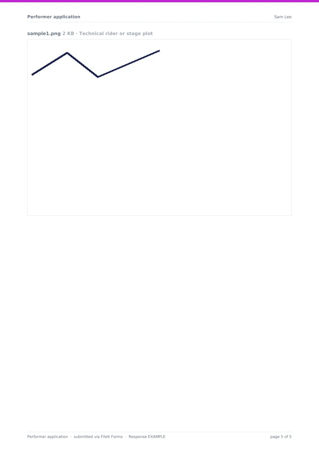 Performer application — example response PDF, page 5 of 5