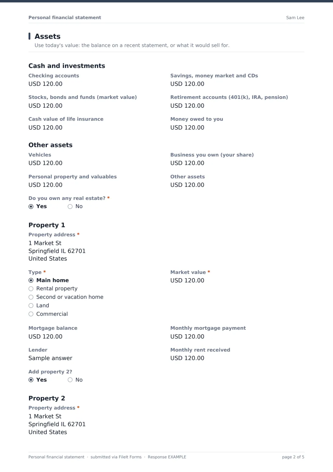Personal financial statement — example response PDF, page 2 of 5