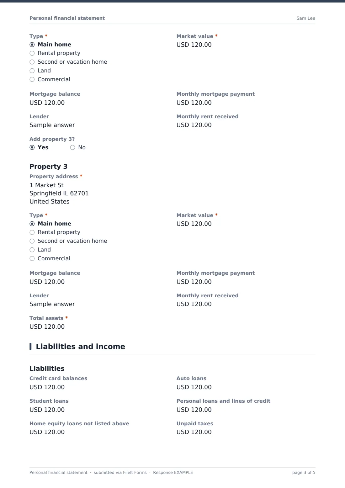 Personal financial statement — example response PDF, page 3 of 5