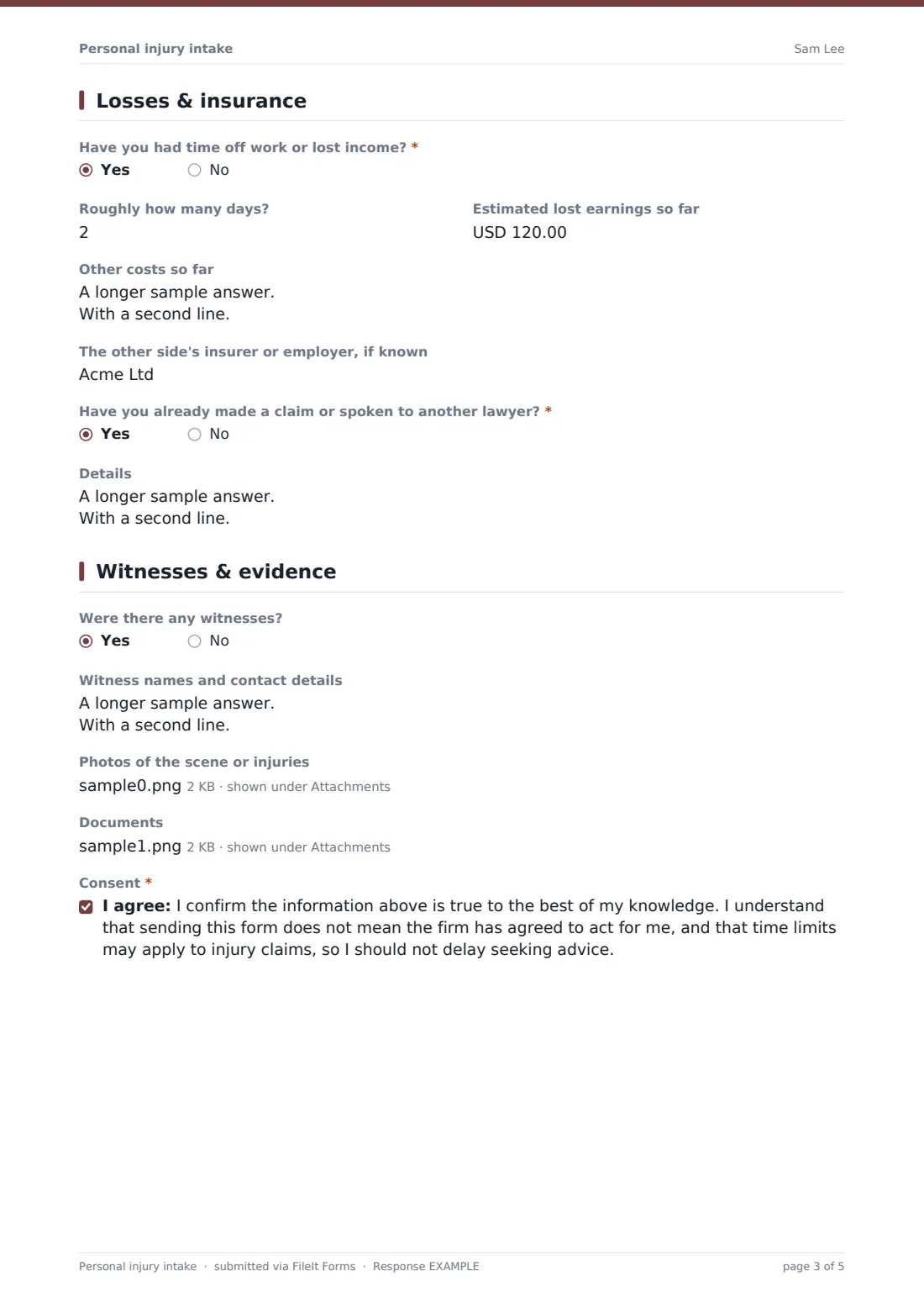 Personal injury intake — example response PDF, page 3 of 5