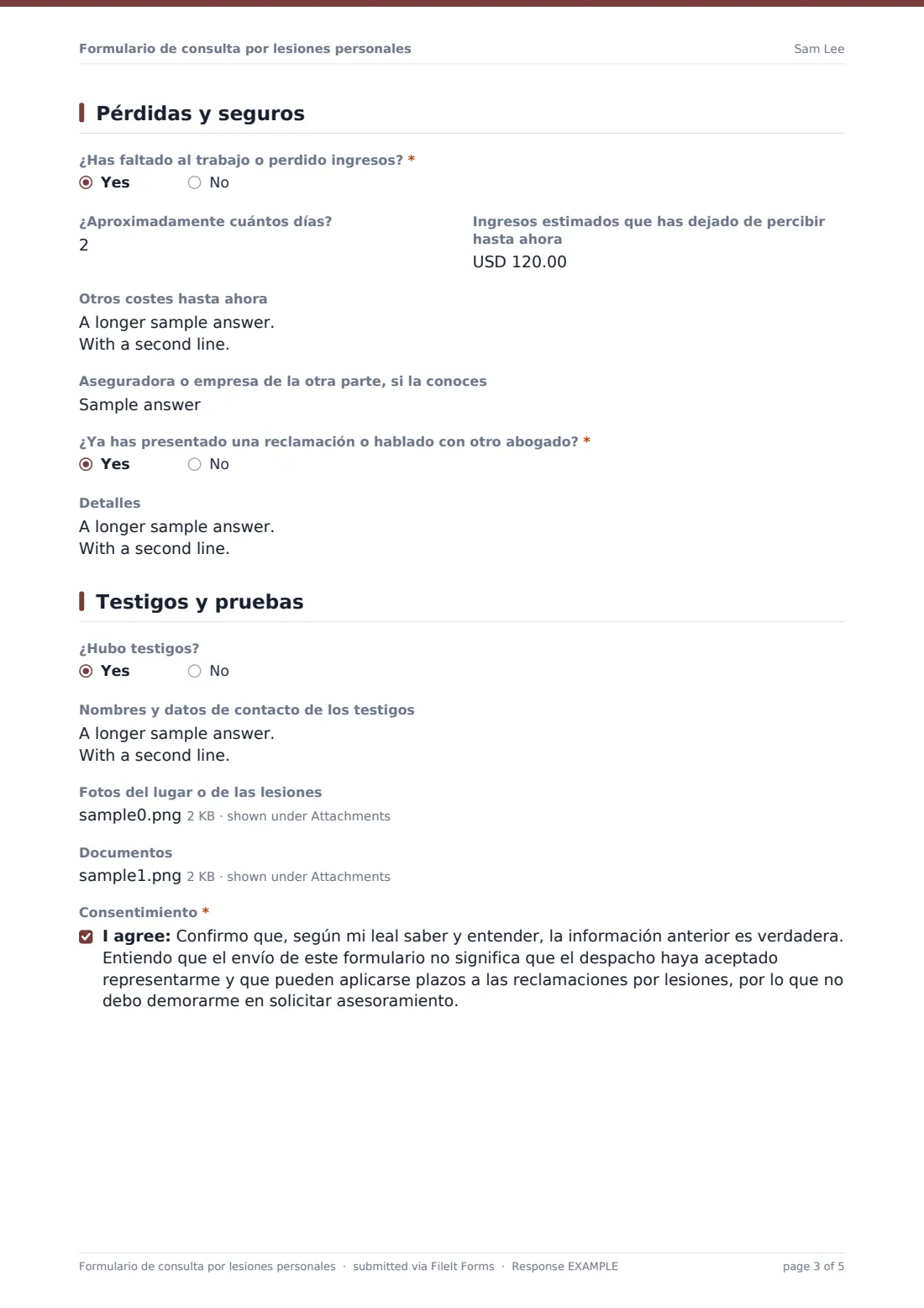 Formulario de consulta por lesiones personales — PDF de respuesta de ejemplo, página 3 de 5