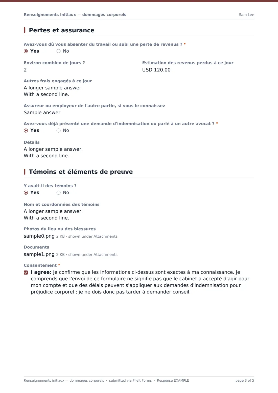Renseignements initiaux — dommages corporels — exemple de réponse au format PDF, page 3 sur 5