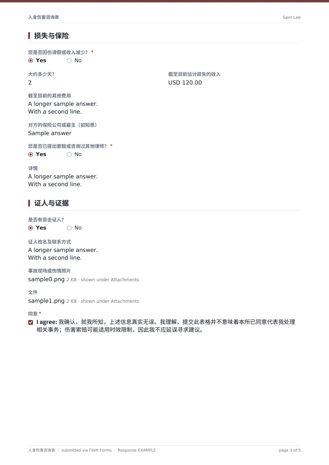 人身伤害咨询表 — 示例回复 PDF，第 3 页，共 5 页