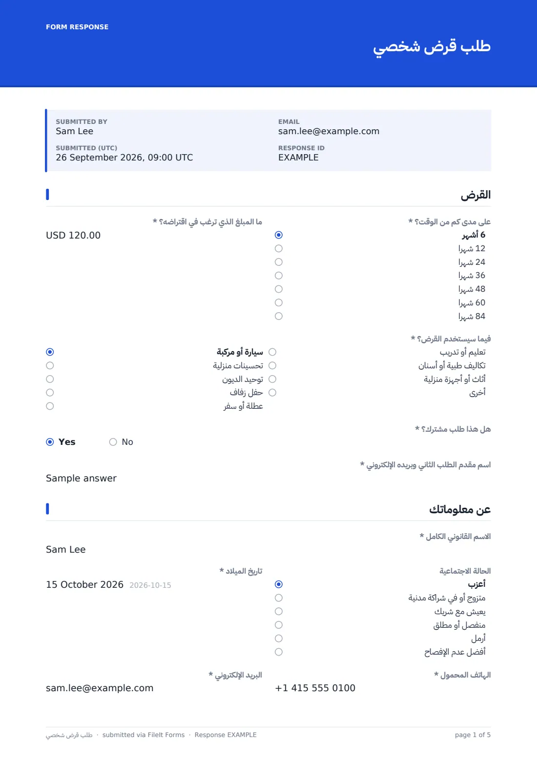 طلب قرض شخصي — ملف PDF لرد نموذجي، الصفحة 1 من 5