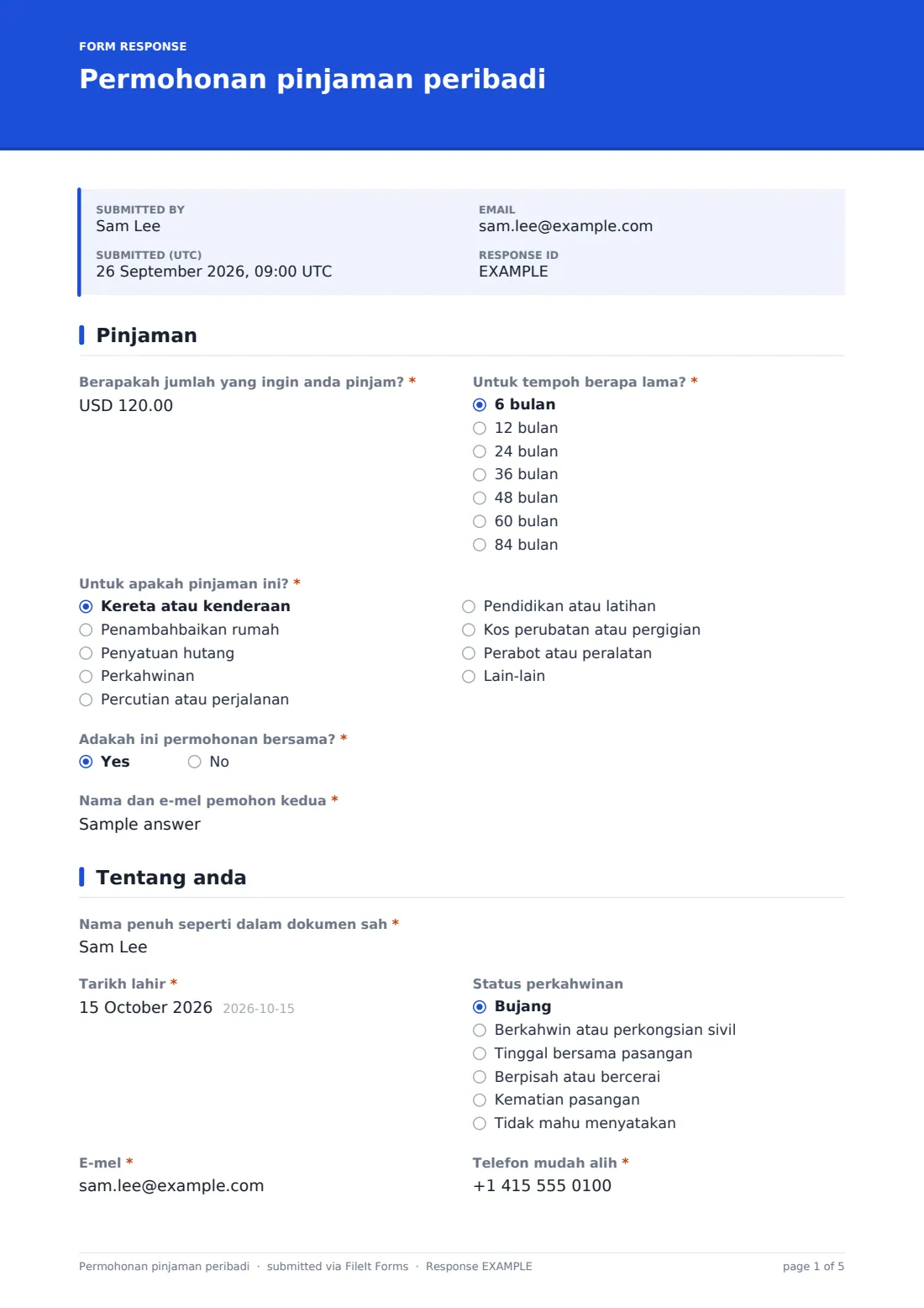 Permohonan pinjaman peribadi — PDF respons contoh, halaman 1 daripada 5