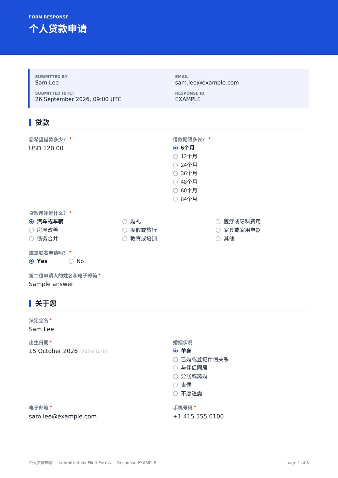 个人贷款申请 — 示例回复 PDF，第 1 页，共 5 页