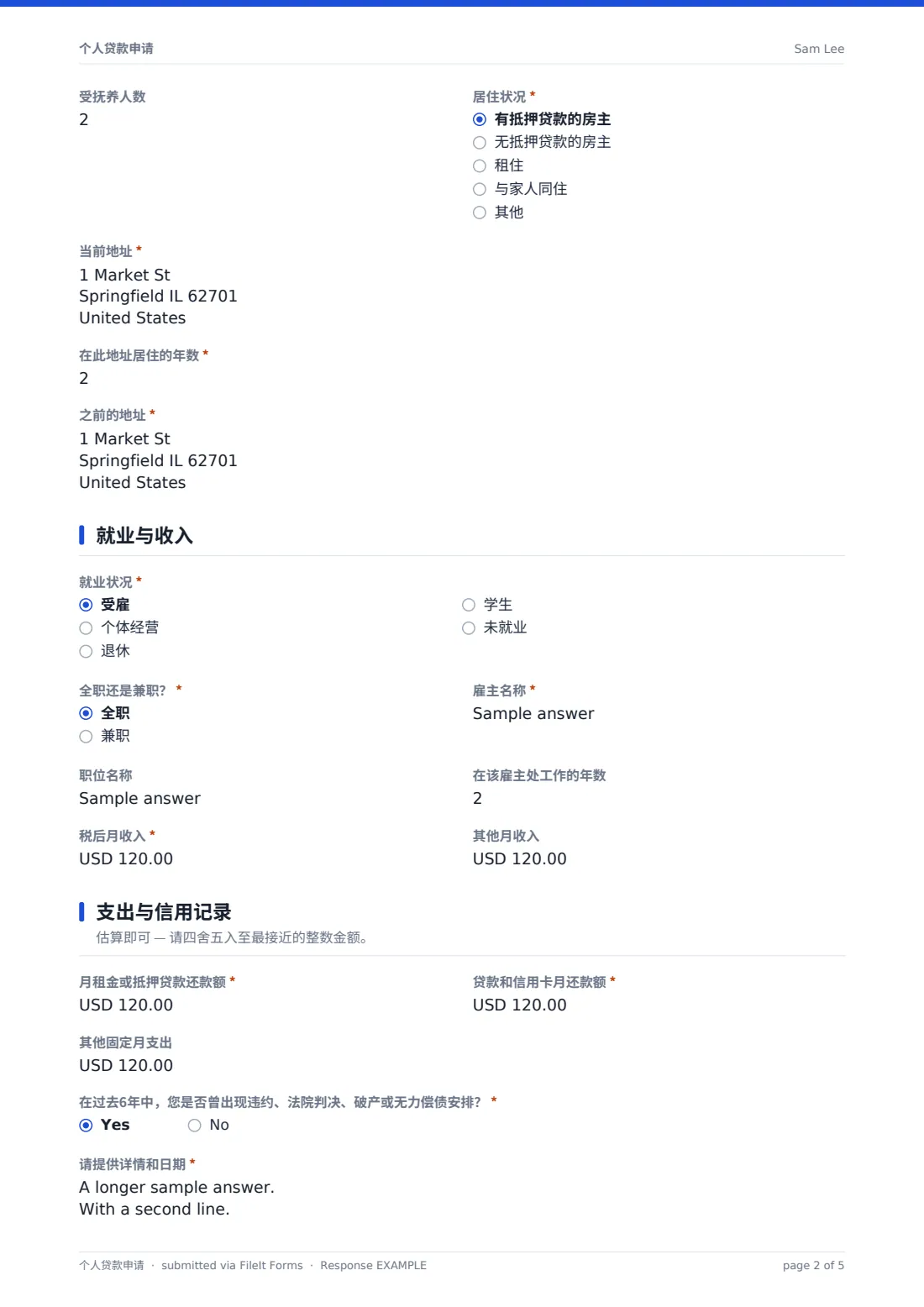 个人贷款申请 — 示例回复 PDF，第 2 页，共 5 页