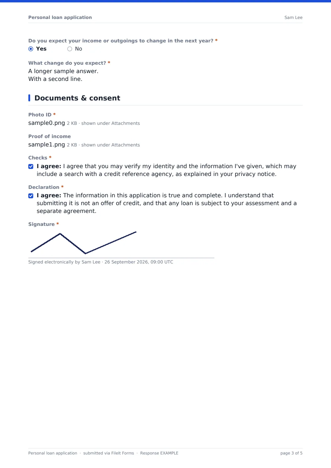 Personal loan application — example response PDF, page 3 of 5