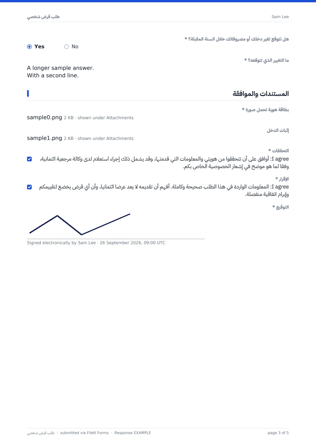 طلب قرض شخصي — ملف PDF لرد نموذجي، الصفحة 3 من 5