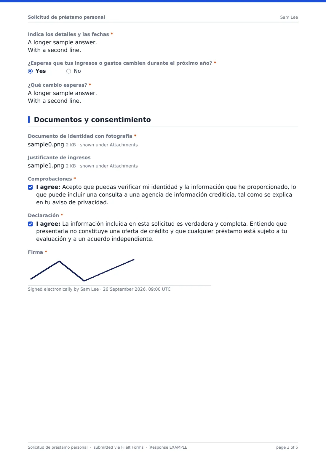 Solicitud de préstamo personal — PDF de respuesta de ejemplo, página 3 de 5