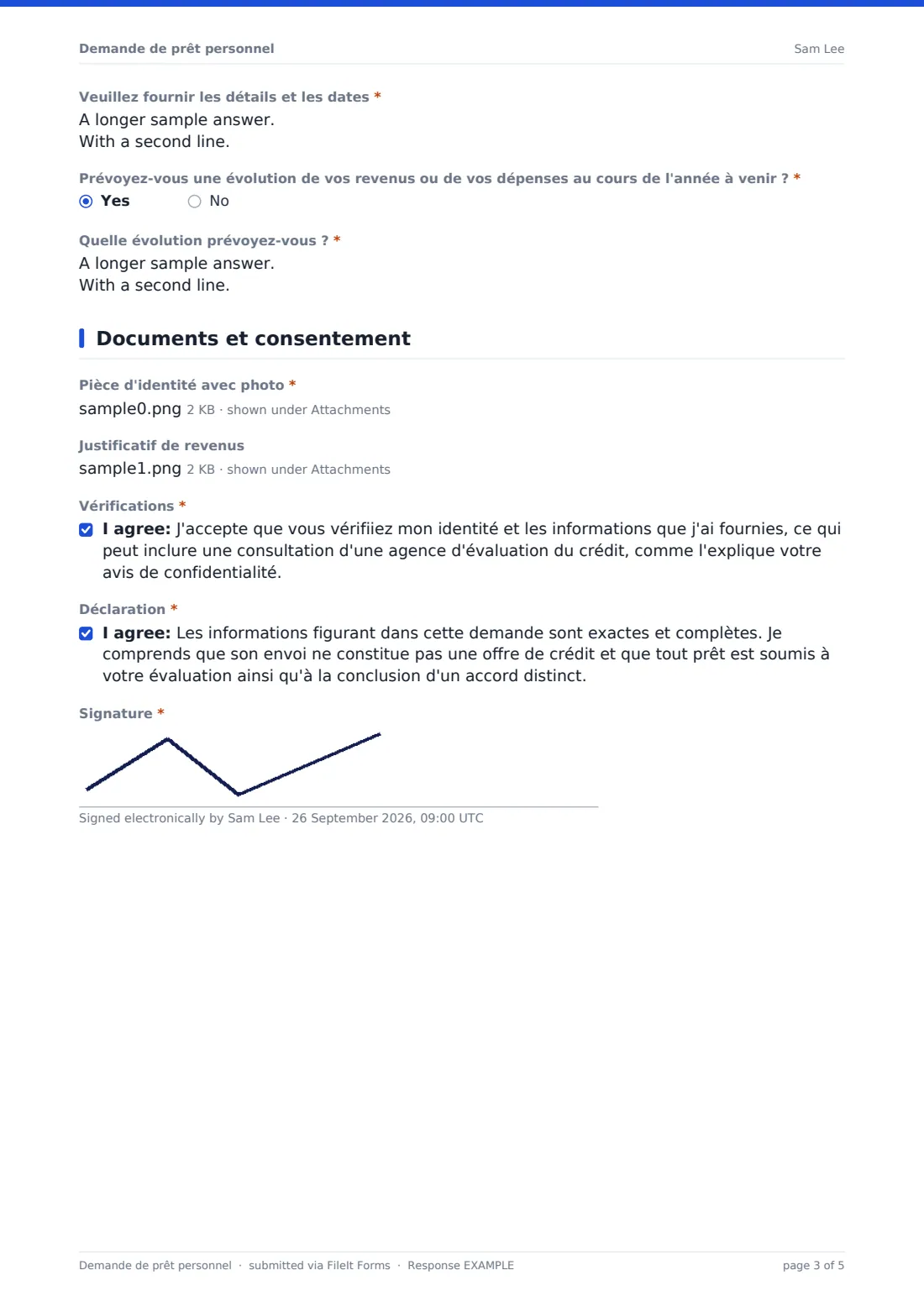 Demande de prêt personnel — exemple de réponse au format PDF, page 3 sur 5