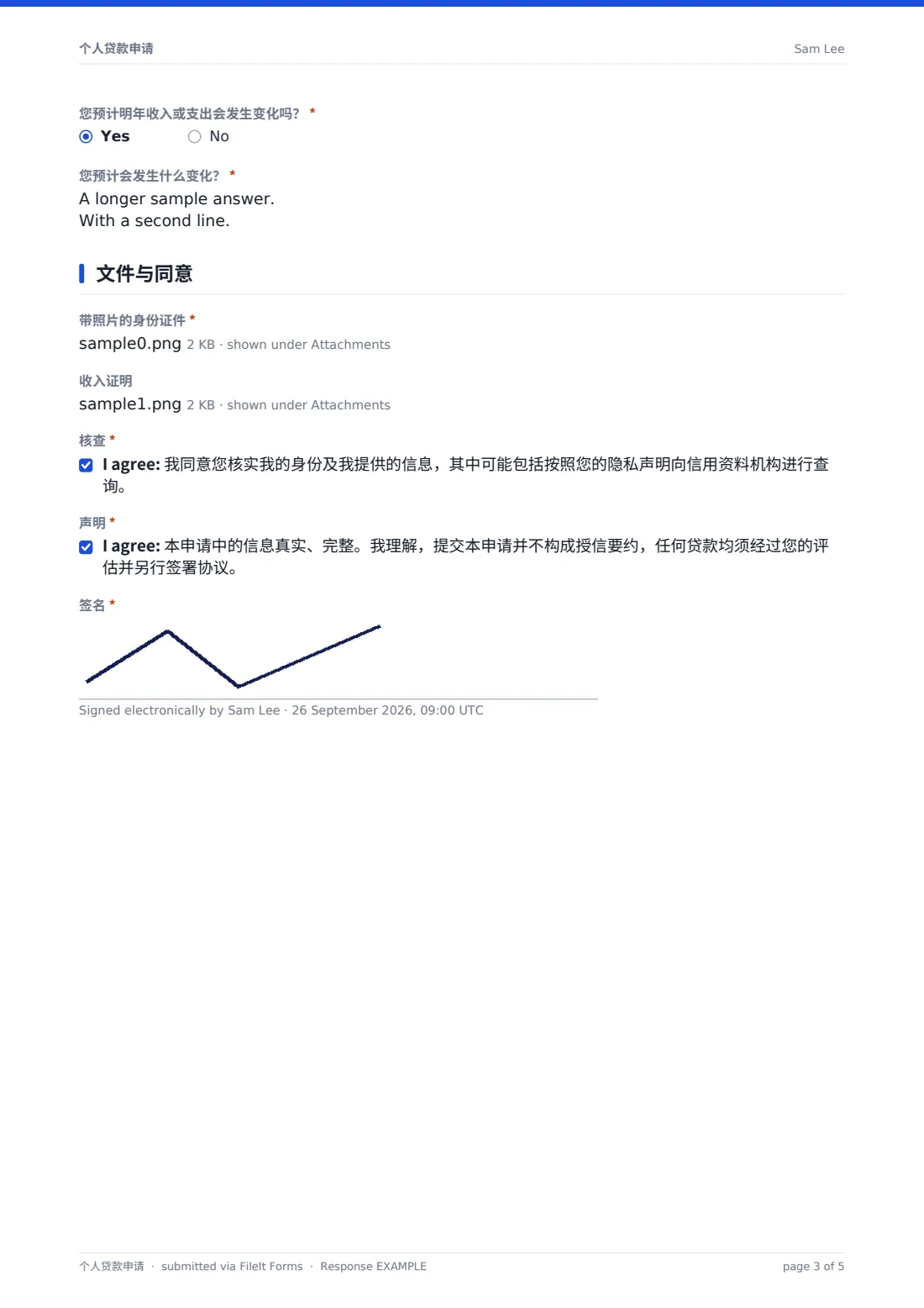 个人贷款申请 — 示例回复 PDF，第 3 页，共 5 页
