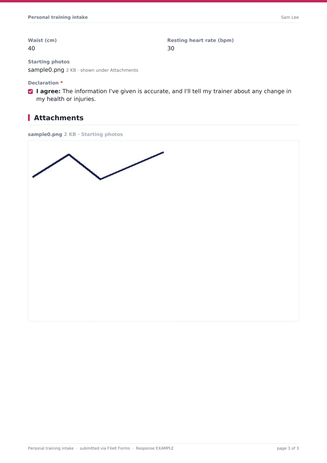 Personal training intake — example response PDF, page 3 of 3