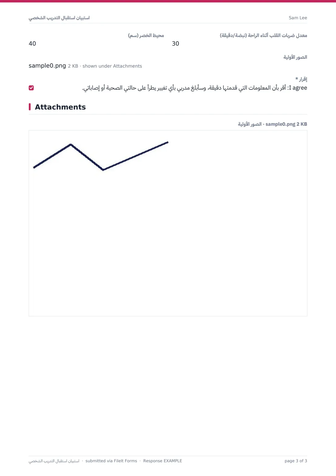 استبيان استقبال التدريب الشخصي — ملف PDF لرد نموذجي، الصفحة 3 من 3