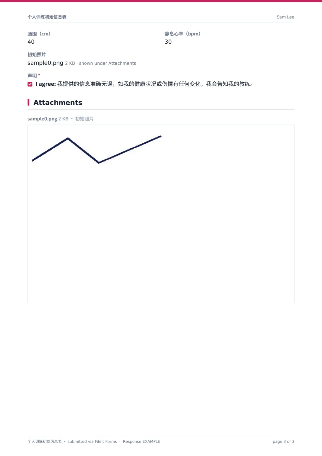个人训练初始信息表 — 示例回复 PDF，第 3 页，共 3 页