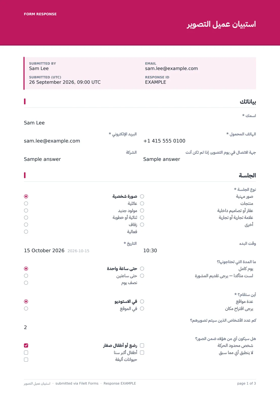 استبيان عميل التصوير — ملف PDF لرد نموذجي، الصفحة 1 من 3