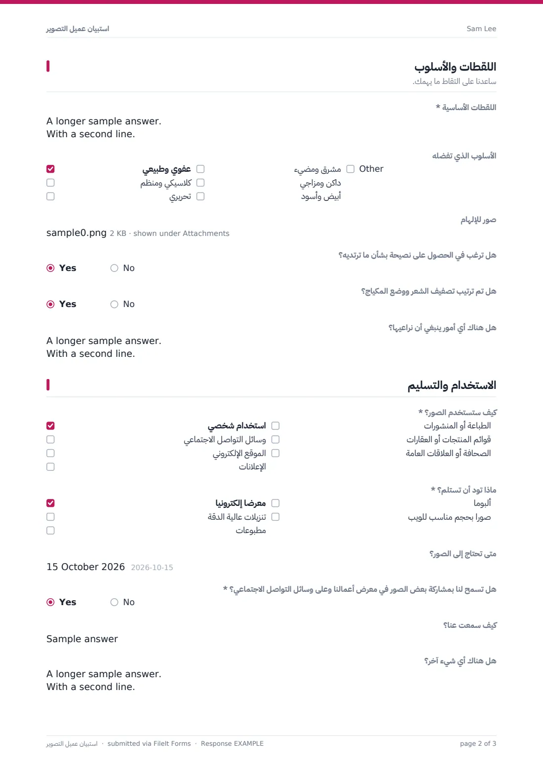 استبيان عميل التصوير — ملف PDF لرد نموذجي، الصفحة 2 من 3