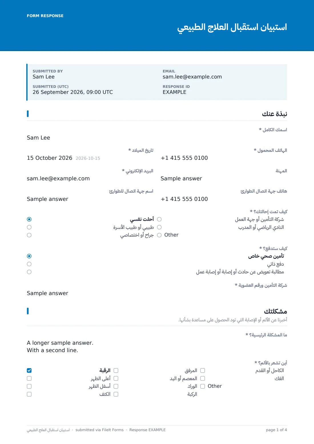 استبيان استقبال العلاج الطبيعي — ملف PDF لرد نموذجي، الصفحة 1 من 4