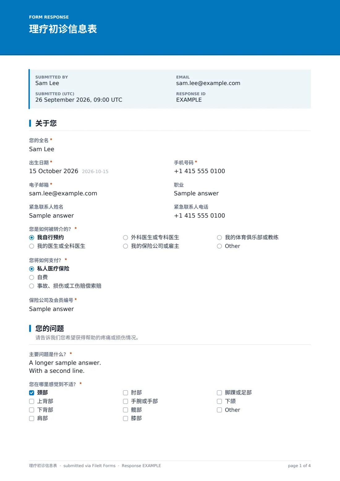 理疗初诊信息表 — 示例回复 PDF，第 1 页，共 4 页