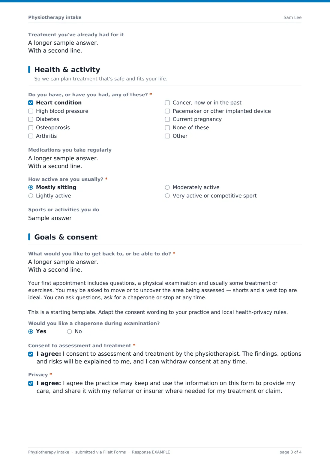 Physiotherapy intake — example response PDF, page 3 of 4