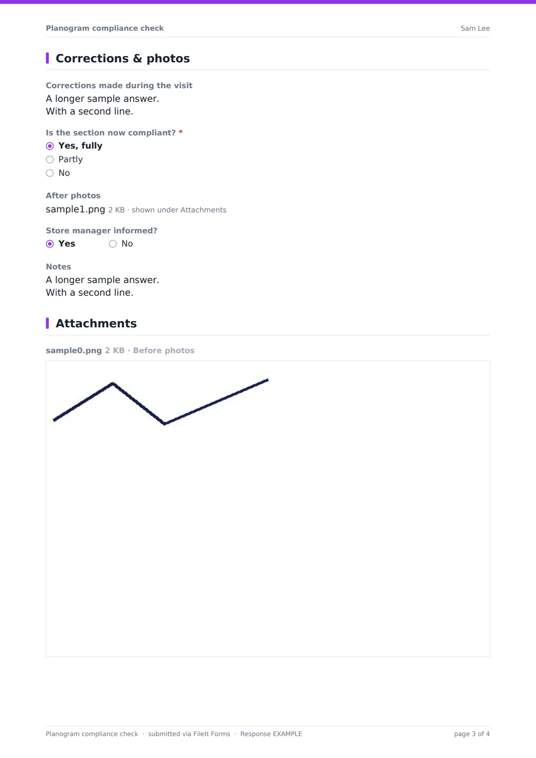Planogram compliance check — example response PDF, page 3 of 4