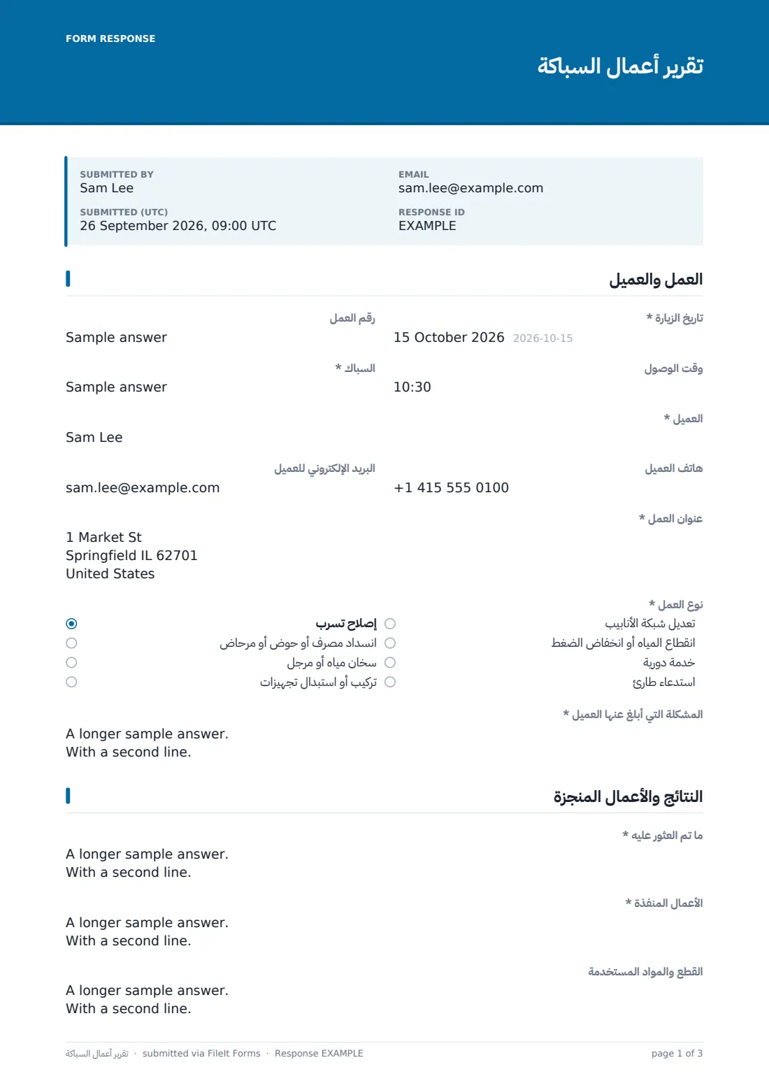 تقرير أعمال السباكة — ملف PDF لرد نموذجي، الصفحة 1 من 3