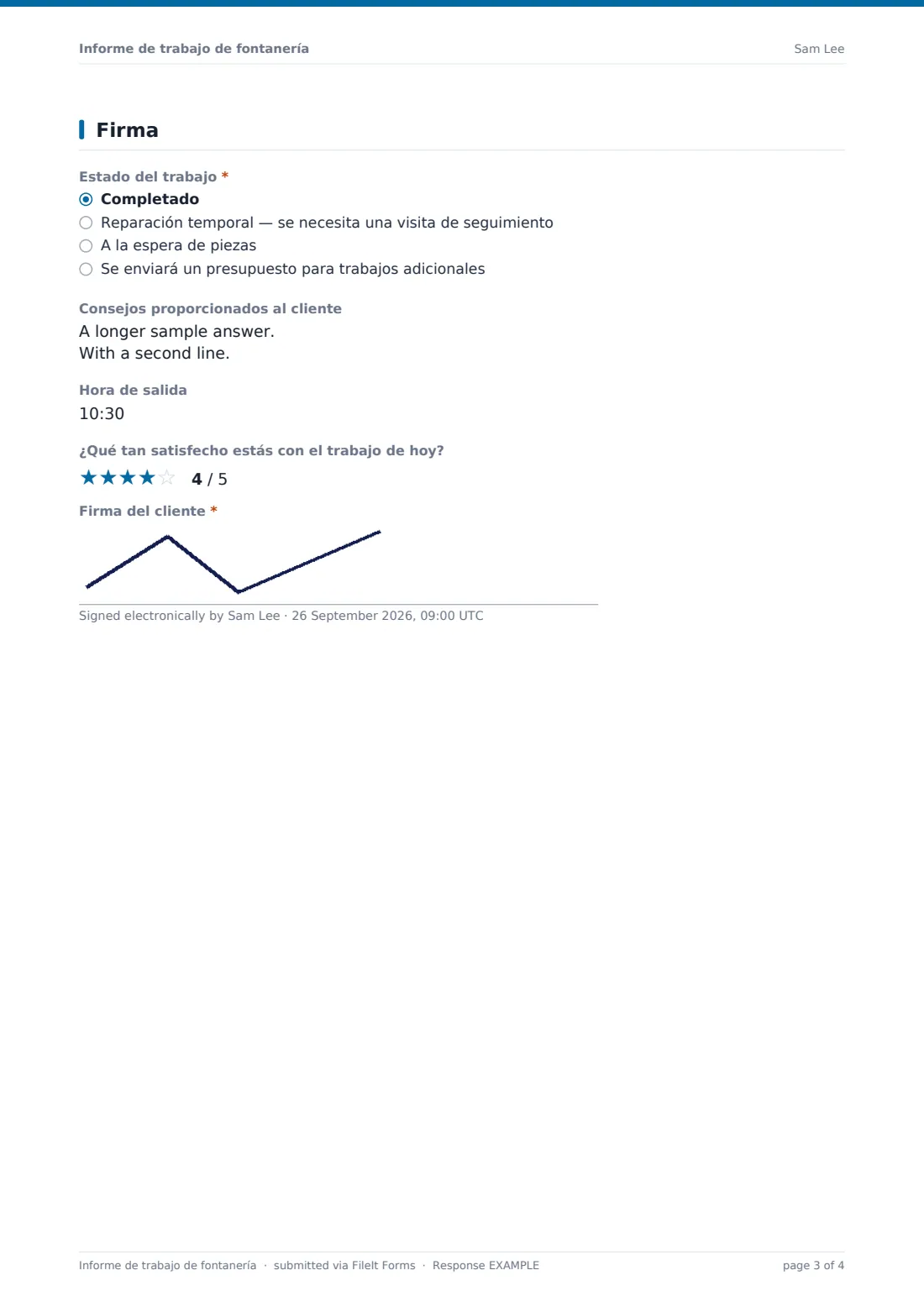 Informe de trabajo de fontanería — PDF de respuesta de ejemplo, página 3 de 4
