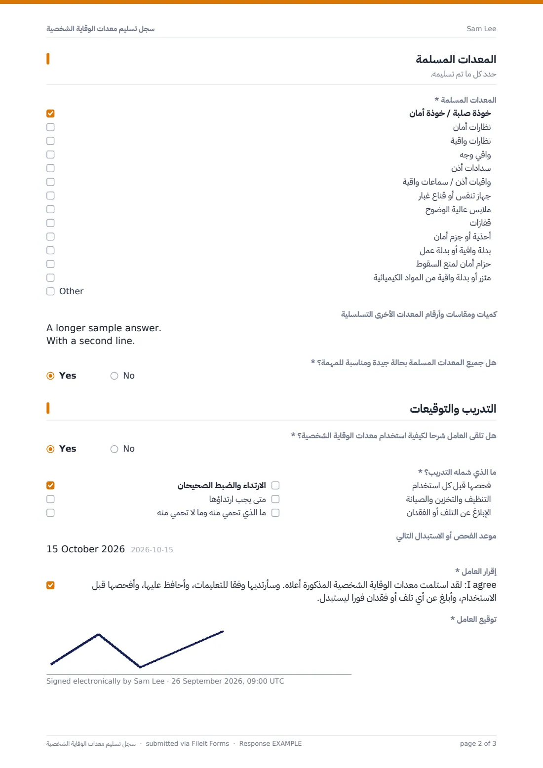 سجل تسليم معدات الوقاية الشخصية — ملف PDF لرد نموذجي، الصفحة 2 من 3