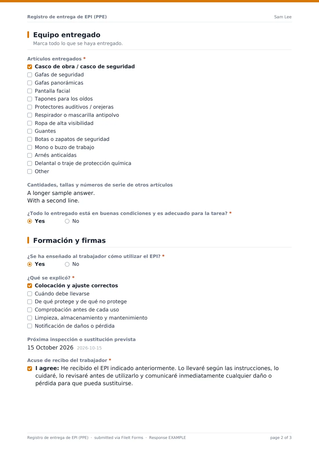 Registro de entrega de EPI (PPE) — PDF de respuesta de ejemplo, página 2 de 3
