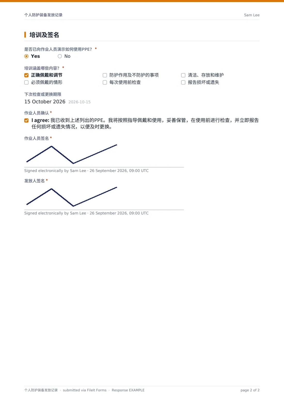 个人防护装备发放记录 — 示例回复 PDF，第 2 页，共 2 页