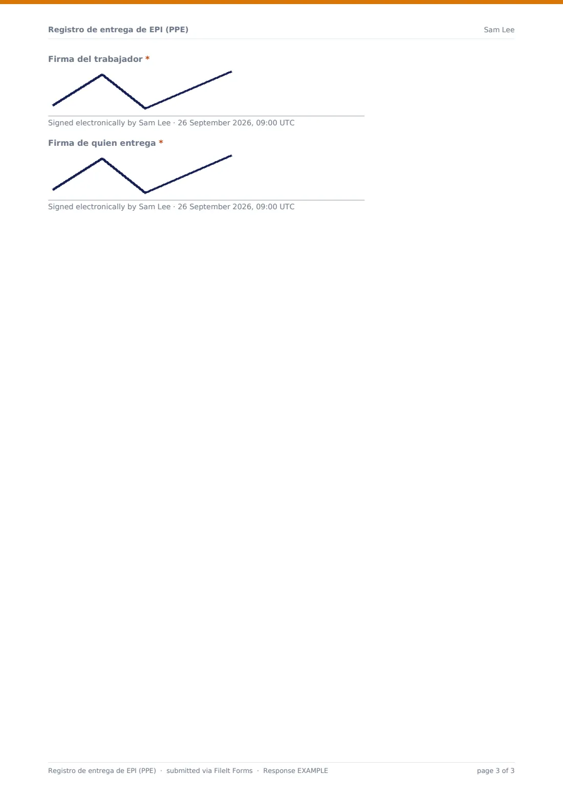 Registro de entrega de EPI (PPE) — PDF de respuesta de ejemplo, página 3 de 3