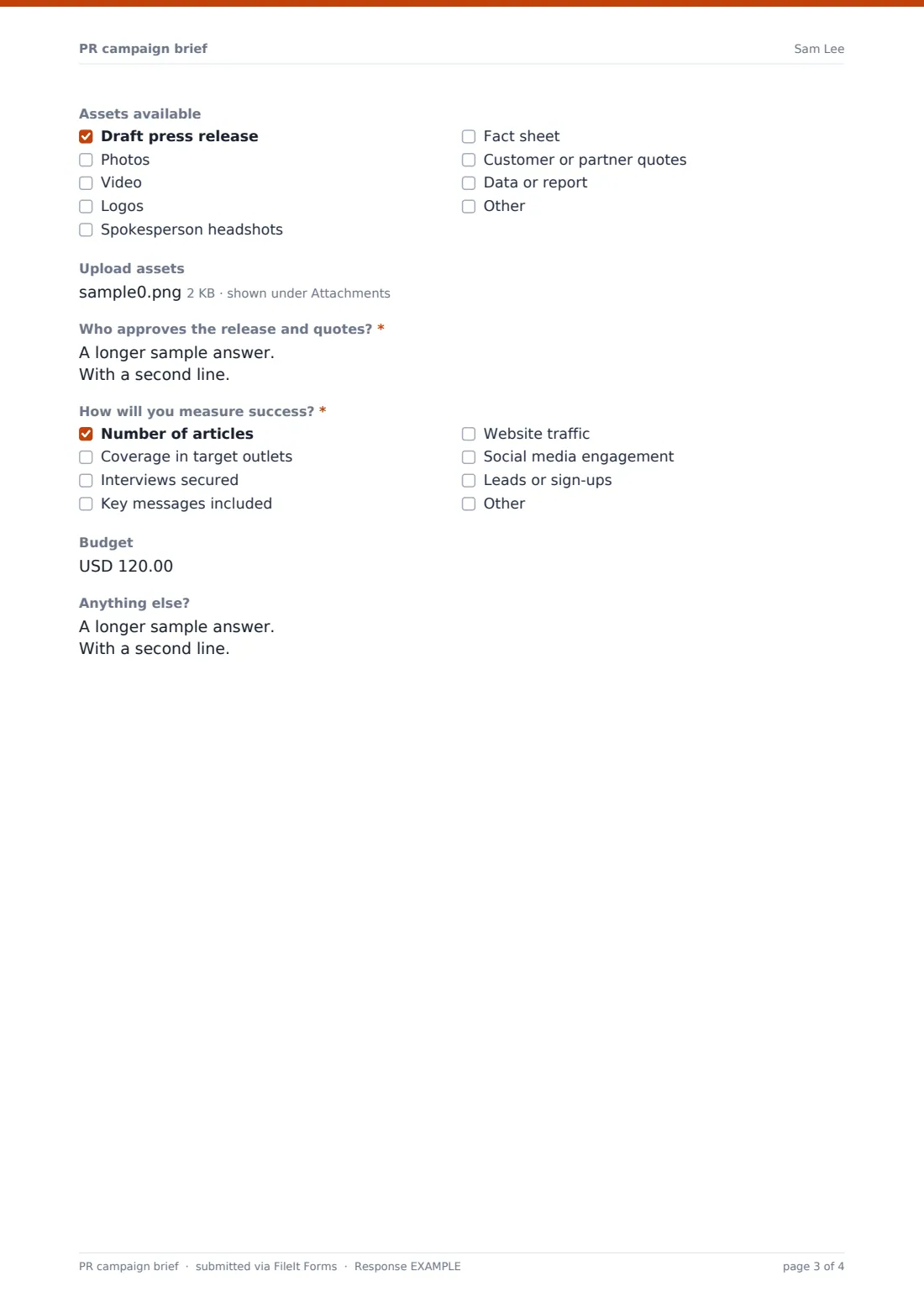 PR campaign brief — example response PDF, page 3 of 4