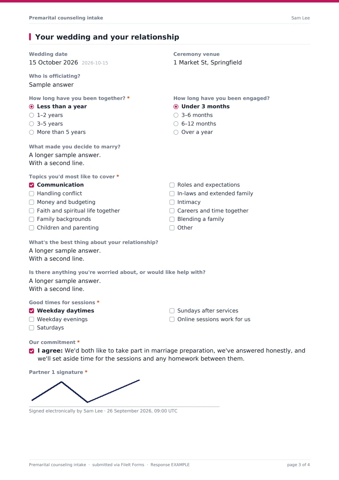 Premarital counseling intake — example response PDF, page 3 of 4