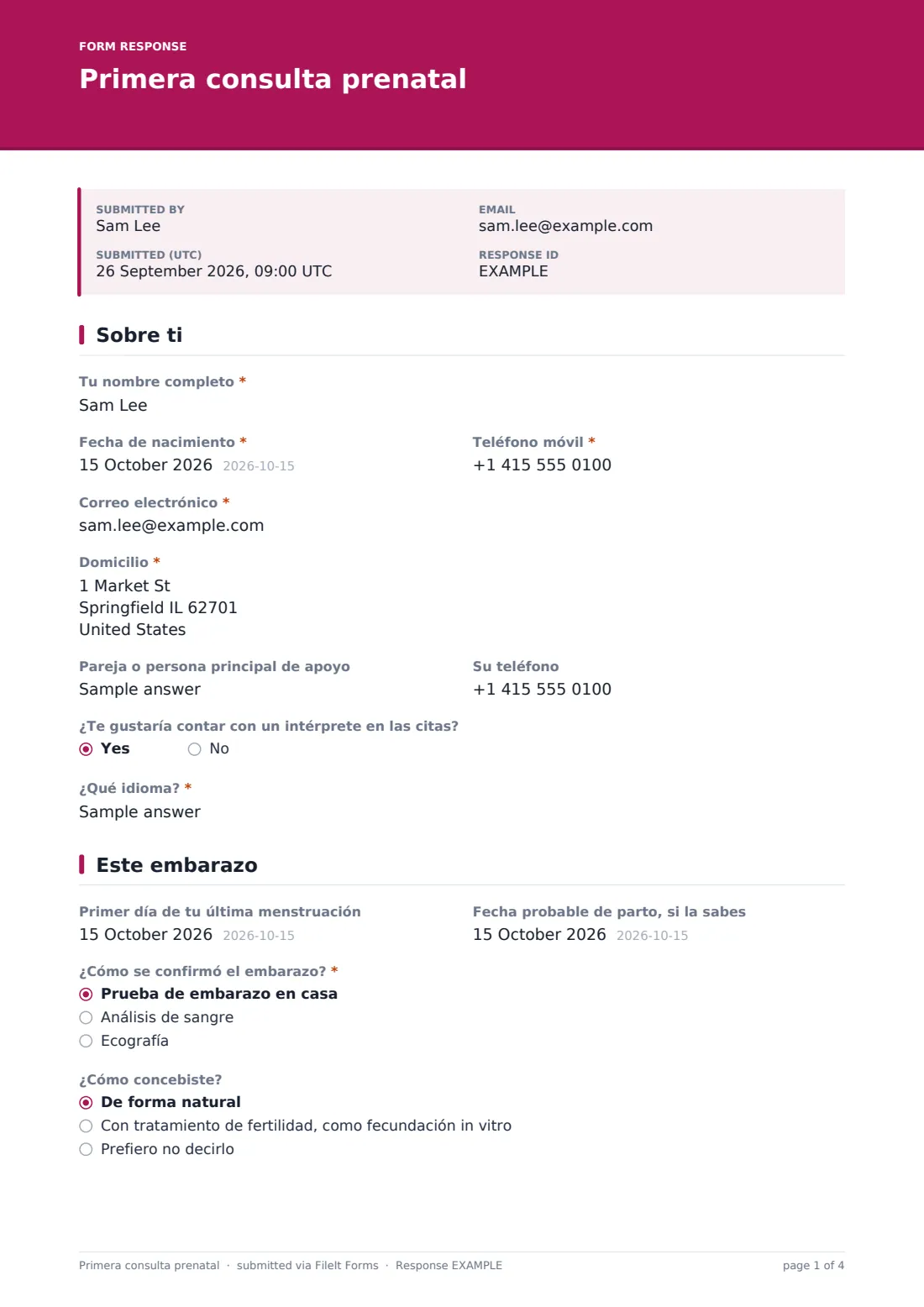 Primera consulta prenatal — PDF de respuesta de ejemplo, página 1 de 4