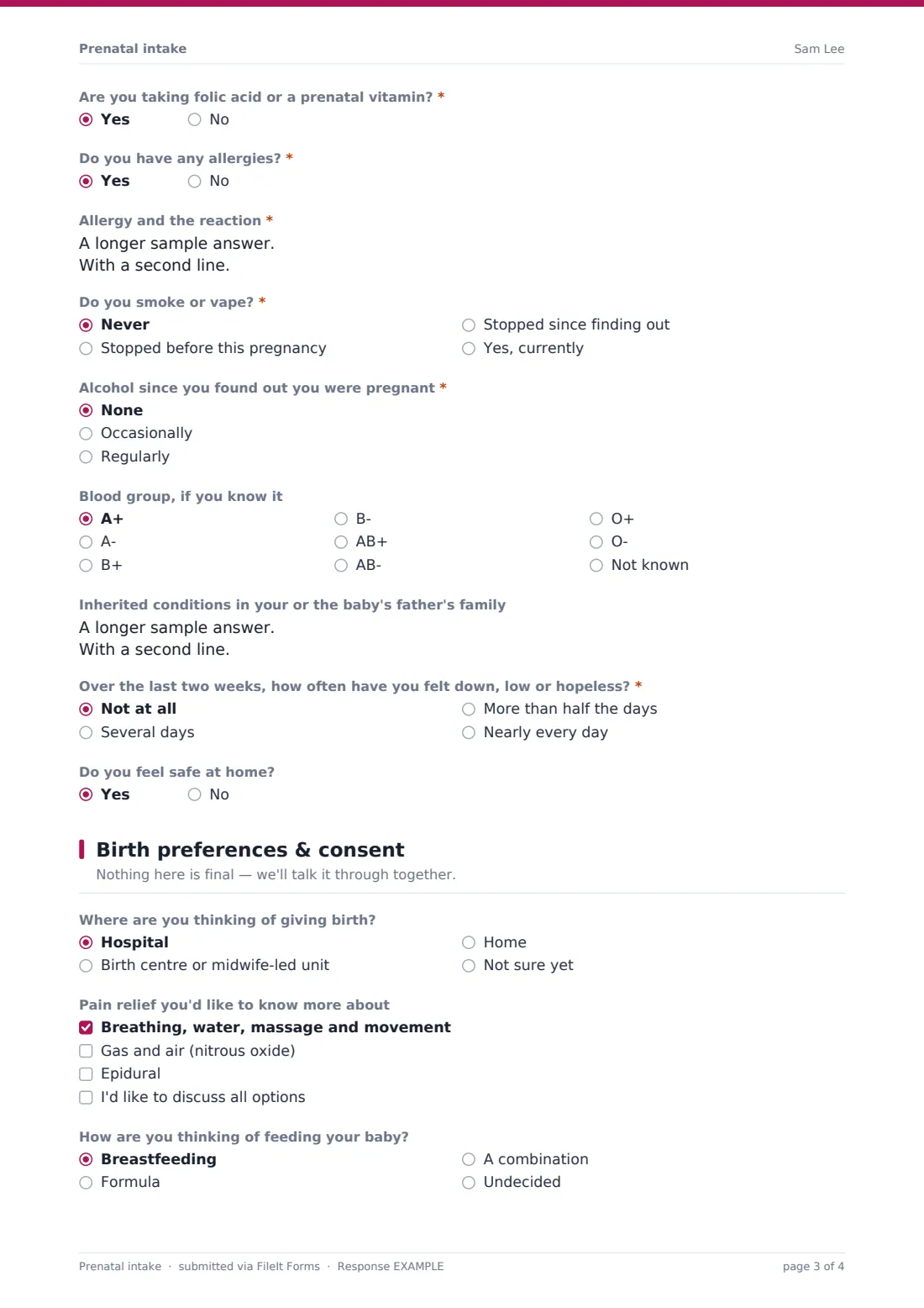 Prenatal intake — example response PDF, page 3 of 4