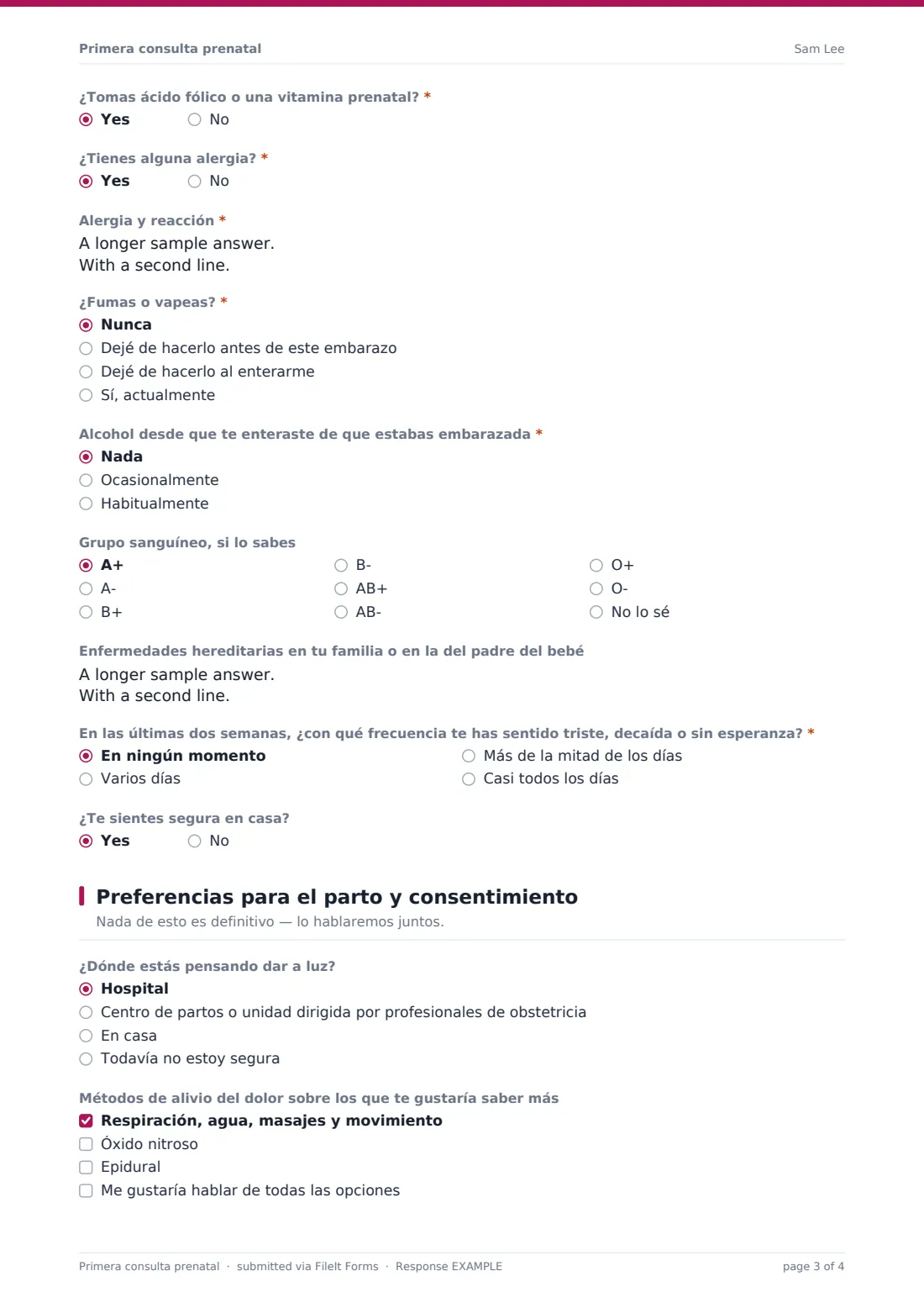 Primera consulta prenatal — PDF de respuesta de ejemplo, página 3 de 4
