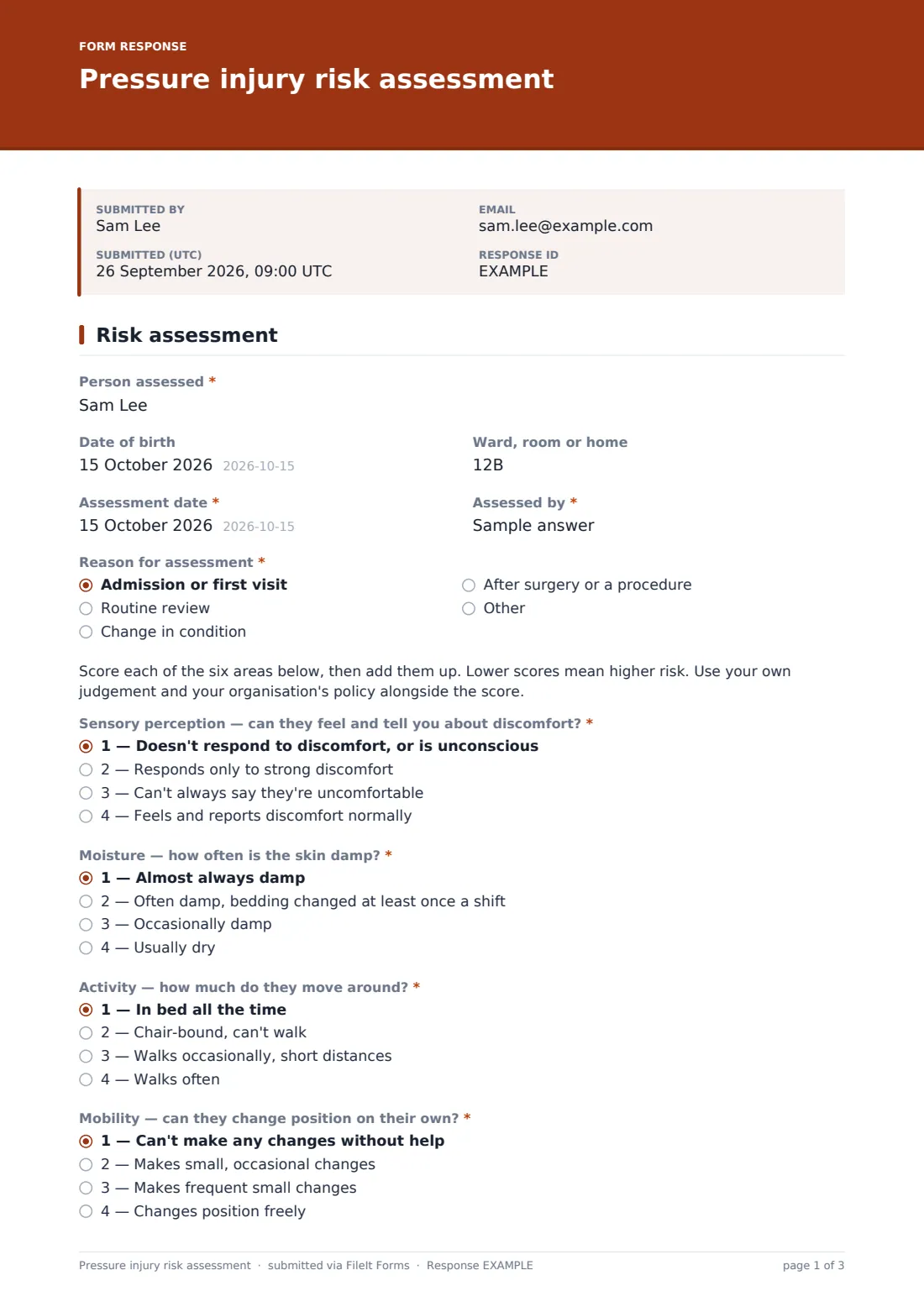 Pressure injury risk assessment — example response PDF, page 1 of 3