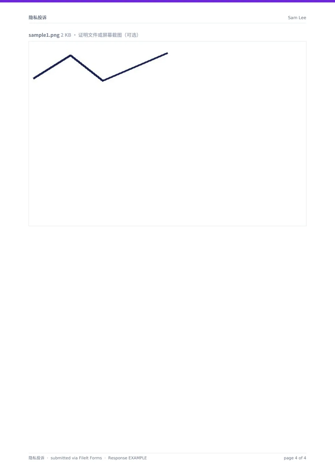 隐私投诉 — 示例回复 PDF，第 4 页，共 4 页