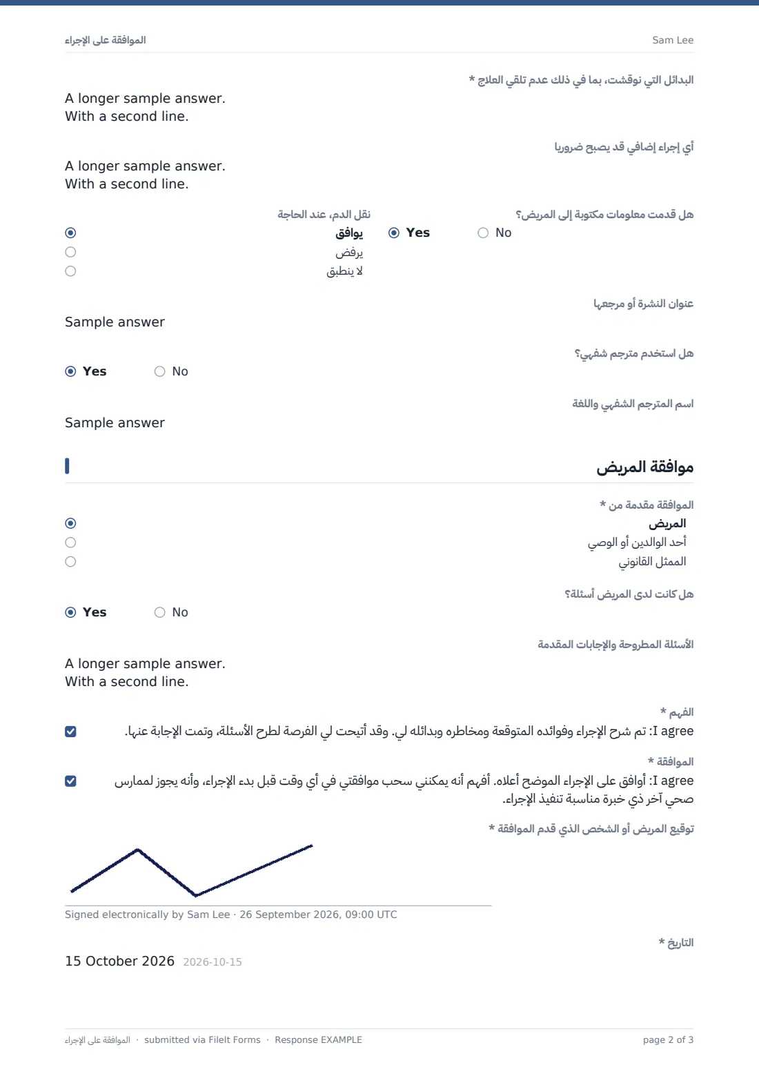 الموافقة على الإجراء — ملف PDF لرد نموذجي، الصفحة 2 من 3